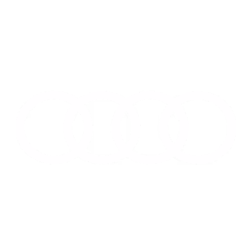 Audi RS 3 LMS TCR